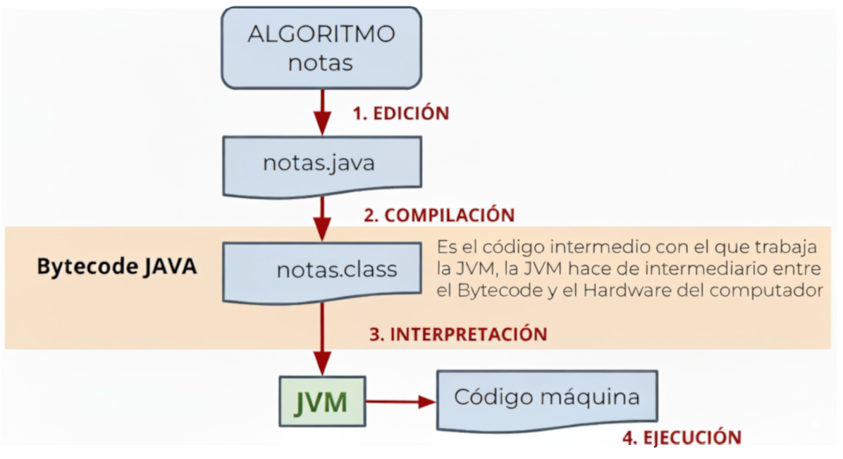 Ciclo completo